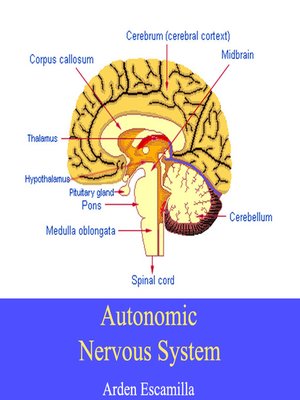cover image of Autonomic Nervous System